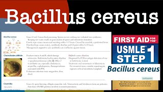 Bacillus cereus in HindiUrdu by first aid for USMLE step 1 [upl. by Nrevel668]