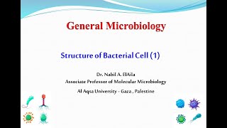 ‏‏‏‏‏‏‫‫‫‫Chapter 2 Structure of bacterial cell 1 [upl. by Elocn]