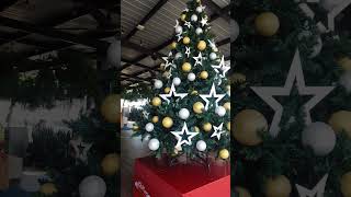 Arbolito de lindo de navidad [upl. by Revorg]