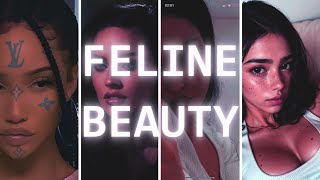 feline beauty subliminal \\ super powerful \\ [upl. by Jacobine]