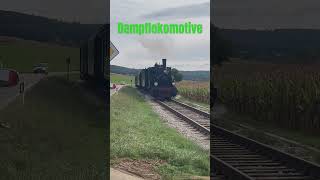 Dampflokomotive 🚂 Kandertalbahn [upl. by Solegna]