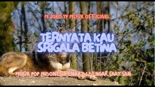 Ternyata Kau Srigala Betina  M Joko YP Musik Official musikvideo shortmusicvideo [upl. by Gonagle193]