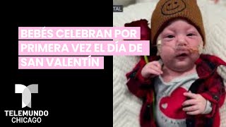 Bebés celebran por primera vez el Día de San Valentín [upl. by Nelyt]