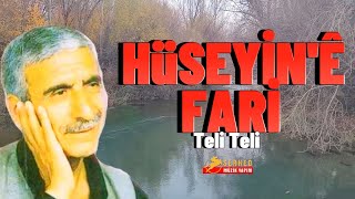 Hüseyinē Farı  Teli Teli  Çok Dertli Duygulu Aşk Şarkısı Köy Manzaralı Video [upl. by Treva]