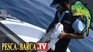 Come pescare le grandi lecce  Pesca Dalla Barca TV [upl. by Zola869]