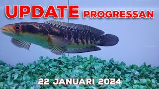 Update Progress amp Treatment 22 Jan 24 [upl. by Letreece]