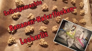 Selbstgemachte BananenHaferflockenLeckerlis  Homemade Leckerlis  Hundekanal [upl. by Whitehouse]