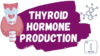 Thyroid Hormone Production EXPLAINED  thyroidglobulin iodine uptake thyroid peroxidase [upl. by Ybbil]