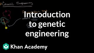 Introduction to genetic engineering  Molecular genetics  High school biology  Khan Academy [upl. by Fernandina]