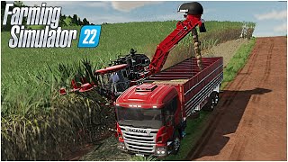 RACCOGLIAMO IL COTONE  19 FARMING SIMULATOR 22 ITA  Interior Of MS Brazil [upl. by Olwen]