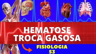 HEMATOSE TROCA GASOSA  PERFUSÃO VENTILAÇÃO  FISIOLOGIA HUMANA  FISIOLOGIA DE GUYTON [upl. by Nickolas]