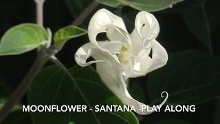 Moonflower  Santana  Backing  music sheet [upl. by Lahey92]