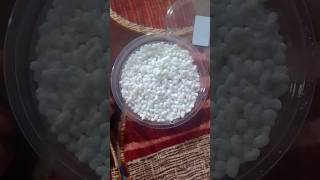 🤤🤤🤤sompsomprestaurant shortvideofood foodevlogs333tamilsong musiclovesongtamilsong [upl. by Nyladnek740]