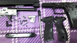 sig sauer p226 co2 disassembly [upl. by Niarda179]