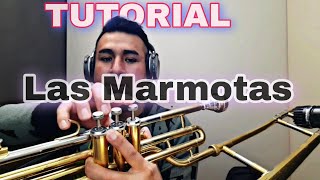 Las Marmotas  TUTORIAL de Trombon  Banda Tierra Mojada [upl. by Nnhoj]