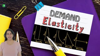 Elasticity of Demand  Elastic Vs Inelastic Goods How to Draw Graphs and Calculate Coefficients [upl. by Haduhey]