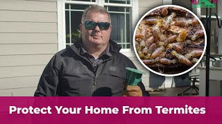 Protect your home from termites with Killingsworth Environmental [upl. by Bouley423]