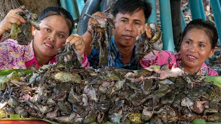 Cooking Traditional Banded Bullfrog Recipe Delicious Ngam Ngov Food Style Kitchen Foods in Village [upl. by Llewkcor]