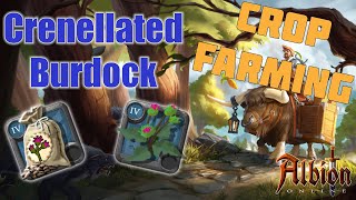 HowMuchProfit  11 No Focus  Crop Farming  Crenellated Burdock [upl. by Gladine895]