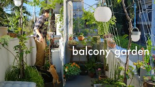 Apartment Balcony Garden  designing with plants [upl. by Ikik]