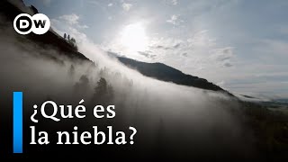 ¿Cómo se forma la niebla [upl. by Syst]