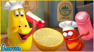 LARVA SEASON 2 EPISODE Chef  COMICS  MINI SERIES FROM ANIMATION [upl. by Ylatan]