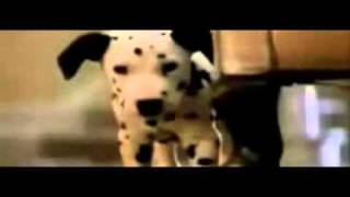 101 Dalmatians  Full  Movie Trailer [upl. by Stroud]