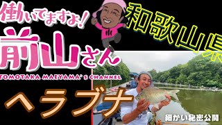 ヘラ釣りますよ！前山さん！ 和歌山県 菊水編 前山智孝 ヘラブナ釣り へら釣り [upl. by Inessa]