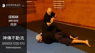 Jinenkan  Gekkan Ura Gata 1 amp 2  Shinden Fudo Ryu Dakentaijutsu Artes Marciales Japonesas [upl. by Suivatram174]