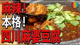 【決定版】本格プロが教える四川麻婆豆腐【麻辣】【花椒】【中華】【マー活】Vol85 [upl. by Odelia6]