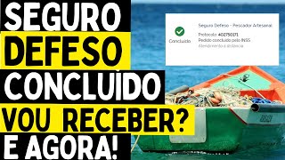 SEGURO DEFESO CONCLUÍDO MEU INSS [upl. by Ylrahc]