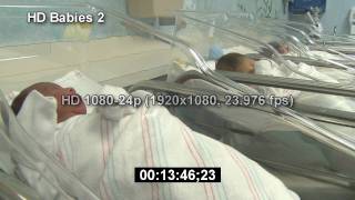 Newborn Babies  HD Stock Footage  Infant  HD Stock Videos  Hospital  Birth  Nursery [upl. by Eenhpad110]