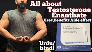 Testosterone Enanthate Uses  Side effects  Benefits UrduHindi [upl. by Vacuva468]