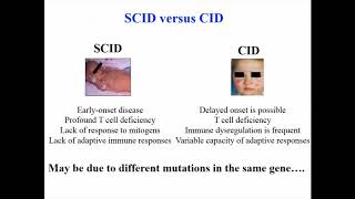 Combined Immune Deficiency CID [upl. by Erlene]