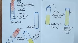 chromyl chloride testfor class11 12NEETJEE [upl. by Hazeefah]