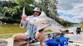 Fishing For Bull Sharks Solo Camping amp Bush Cooking [upl. by Adnahsat679]