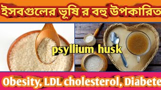 BENEFITS OF PSYLLIUM HUSK ইসবগুলের ভুষির পাঁচটি গুরুত্বপূর্ণ উপকারিতা  Wellness with Sumita [upl. by Eidnac]