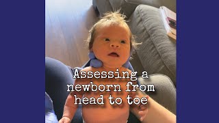 Assessing a baby from head to toe [upl. by Bannon]