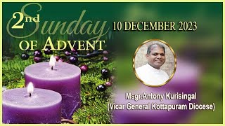 Homily 2nd Sunday of Advent year B Homily for 10 December 2023 [upl. by Ainud389]