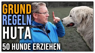 Hunderudel richtig führen  Erziehung bei 50 Hunden gleichzeitig in der HuTa [upl. by Jaella]