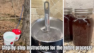 How To Make Maple Syrup Everything You Need To Know To Tap Trees Collect Sap amp Make Maple Syrup [upl. by Dahc]