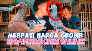 GREBEK PENJUAL MERPATI PASAR KHAS BURAS BREBES BAPAK MUNAWAR [upl. by Kosel981]