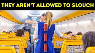 20 Things Flight Attendants Cant Do at Any Price [upl. by Elish480]