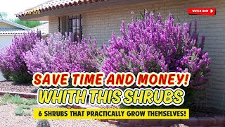 SAVE TIME amp MONEY 💰 6 SHRUBS THAT PRACTICALLY GROW THEMSELVES🌿🌱🌳  Gardening Ideas [upl. by Radmen562]