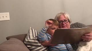 Grandma reads “The Wonky Donkey” [upl. by Eynobe211]