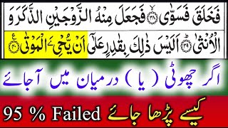 Small quot Yaa quot In Quran  How To Read quot Yaa quot  Tajweed Ul Quran  By Hafiz Muzzammil [upl. by Ahsetra]