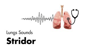 Stridor  Lung Sounds  MEDZCOOL [upl. by Norby]