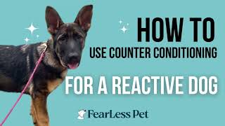 Using Counter Conditioning to Train a Reactive Dog [upl. by Garda]