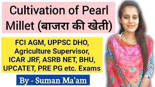 Cultivation of Pearl Millet बाजरा की खेतीFCI AGM UPPSC DHOAFO कृषि पर्यावेक्षकAgriculture amp GK [upl. by Bautista]