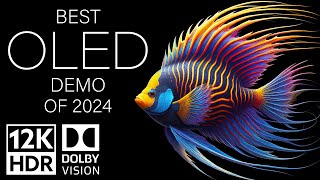 BEST OLED DEMO OF 2024  DOLBY VISION 12K HDR 120fps [upl. by Acissaj551]